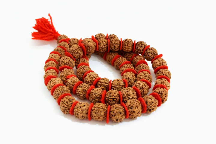 5 Mukhi Rudraksha Mala